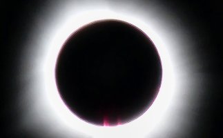 20240408_135920.jpg