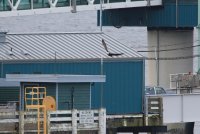 21.JPG