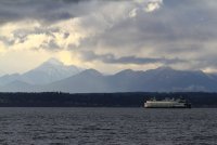 IMG_7931 sm.jpg