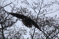 24.JPG