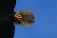05.JPG