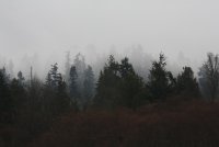 01.JPG