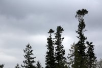 06.JPG