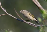 BL8O0524.jpg