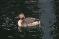 01.JPG