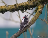 DSC_0078.JPG