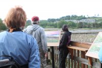 Bills bird walk Edmonds Marsh10.JPG