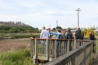 Bills bird walk Edmonds Marsh13.JPG