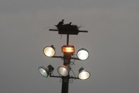 04.JPG