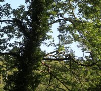 06.JPG