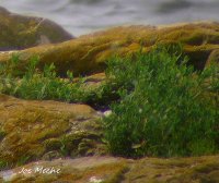 BLOY0620.jpg BLOY0620.jpg