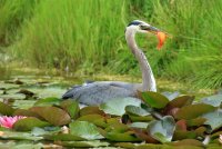 18.JPG 18.JPG