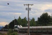 04.JPG