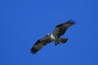 14.JPG