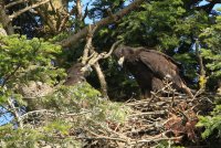 03.JPG