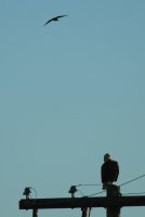 05.JPG