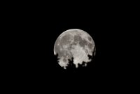 8-10-2014 supermoon_9327.JPG