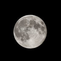 8-10-2014 supermoon_9324c2.JPG