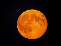 OrangeMoon.jpg