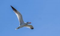 P14Jun-162.jpg