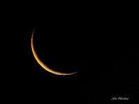 Moonshot0815.jpg