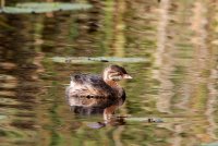 01.JPG