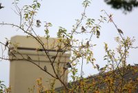 04.JPG