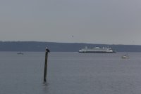 05.JPG