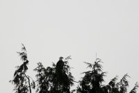 02.JPG