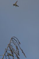 03.JPG