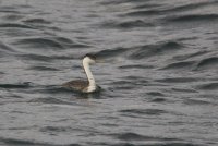 04.JPG