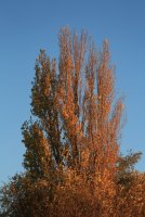 01.JPG