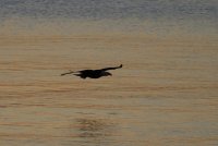 01.JPG
