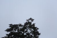 06.JPG