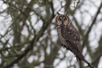 20150110-2R6A1083_edit-2.jpg