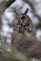 20150110-2R6A1051_edit.jpg