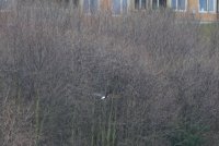 09.JPG