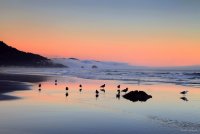 Pacifica.jpg