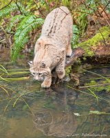 DSC_0849-Edit-2.JPG