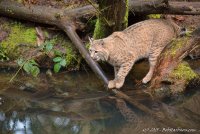 DSC_0832-Edit.JPG