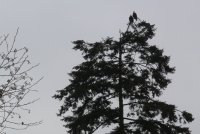 05.JPG