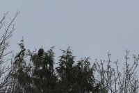 05.JPG
