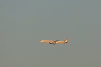 01.JPG