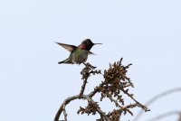 04.JPG