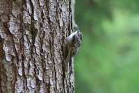 01.JPG