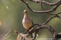 DSC_6966.jpg