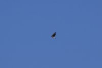 01.JPG