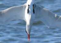 DSC_0814.jpg
