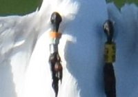 DSC_0813.jpg 1.jpg