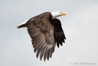 DSC_9222.JPG